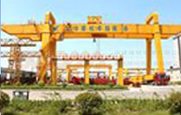 Double Girder Gantry Cranes